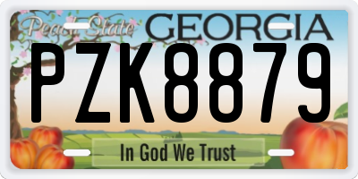 GA license plate PZK8879
