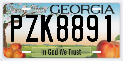 GA license plate PZK8891