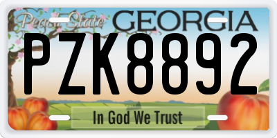 GA license plate PZK8892