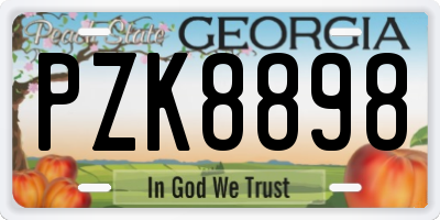 GA license plate PZK8898