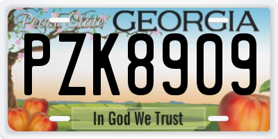 GA license plate PZK8909