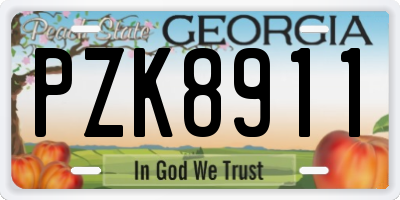 GA license plate PZK8911