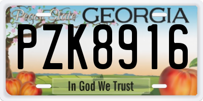 GA license plate PZK8916