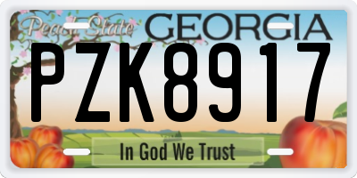 GA license plate PZK8917