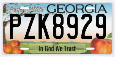 GA license plate PZK8929