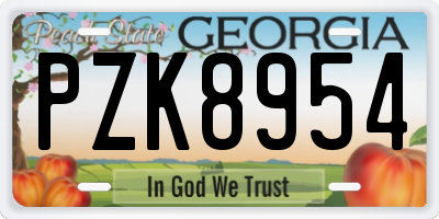 GA license plate PZK8954