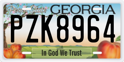 GA license plate PZK8964