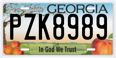 GA license plate PZK8989
