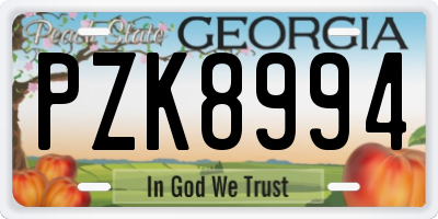 GA license plate PZK8994