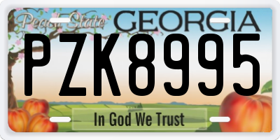 GA license plate PZK8995
