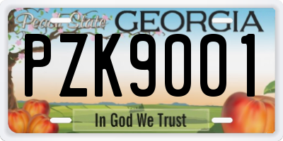 GA license plate PZK9001