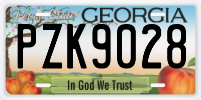 GA license plate PZK9028
