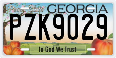 GA license plate PZK9029