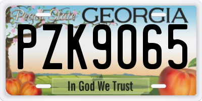 GA license plate PZK9065