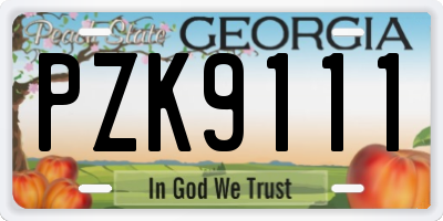GA license plate PZK9111