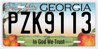GA license plate PZK9113