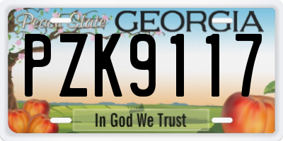 GA license plate PZK9117