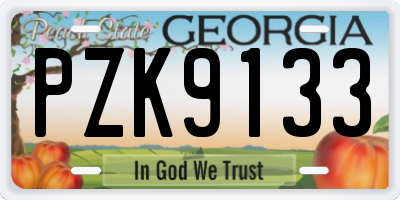 GA license plate PZK9133