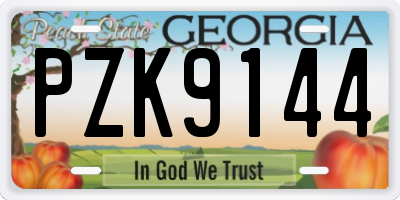 GA license plate PZK9144