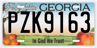 GA license plate PZK9163