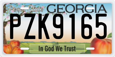 GA license plate PZK9165