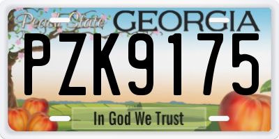 GA license plate PZK9175