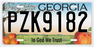 GA license plate PZK9182