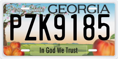 GA license plate PZK9185
