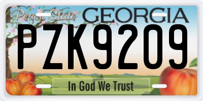 GA license plate PZK9209