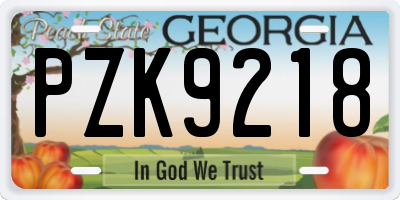 GA license plate PZK9218