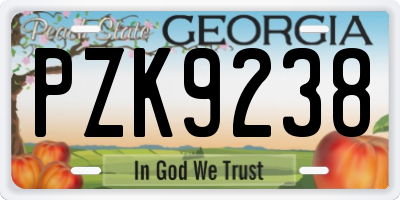 GA license plate PZK9238