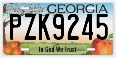 GA license plate PZK9245