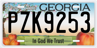 GA license plate PZK9253