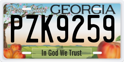 GA license plate PZK9259