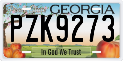 GA license plate PZK9273