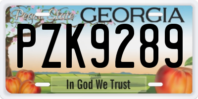 GA license plate PZK9289