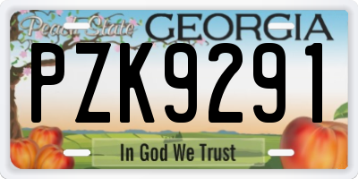 GA license plate PZK9291