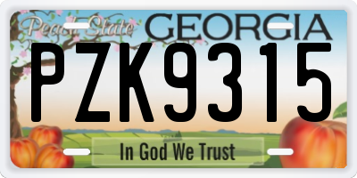 GA license plate PZK9315