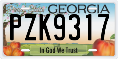 GA license plate PZK9317