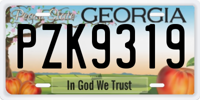 GA license plate PZK9319