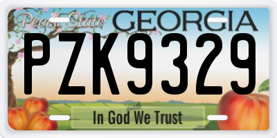 GA license plate PZK9329