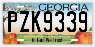 GA license plate PZK9339