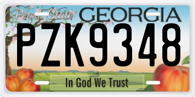 GA license plate PZK9348