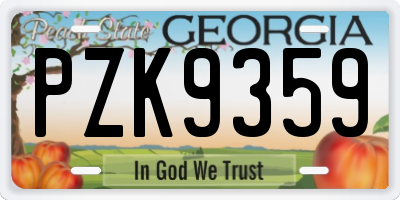 GA license plate PZK9359