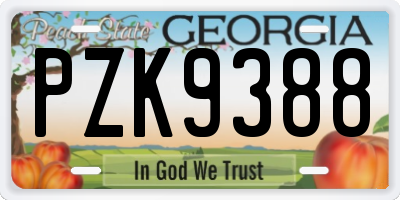 GA license plate PZK9388