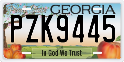 GA license plate PZK9445