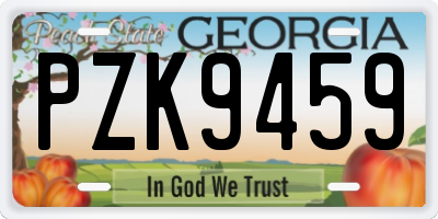 GA license plate PZK9459
