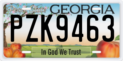 GA license plate PZK9463