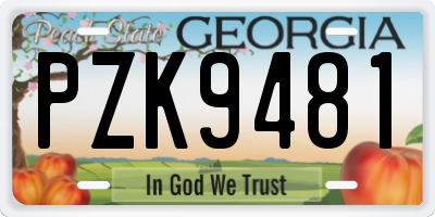 GA license plate PZK9481