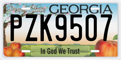 GA license plate PZK9507